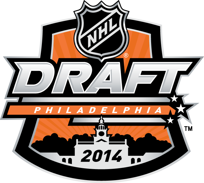 NHL Draft 2014 Primary Logo iron on transfers for clothing